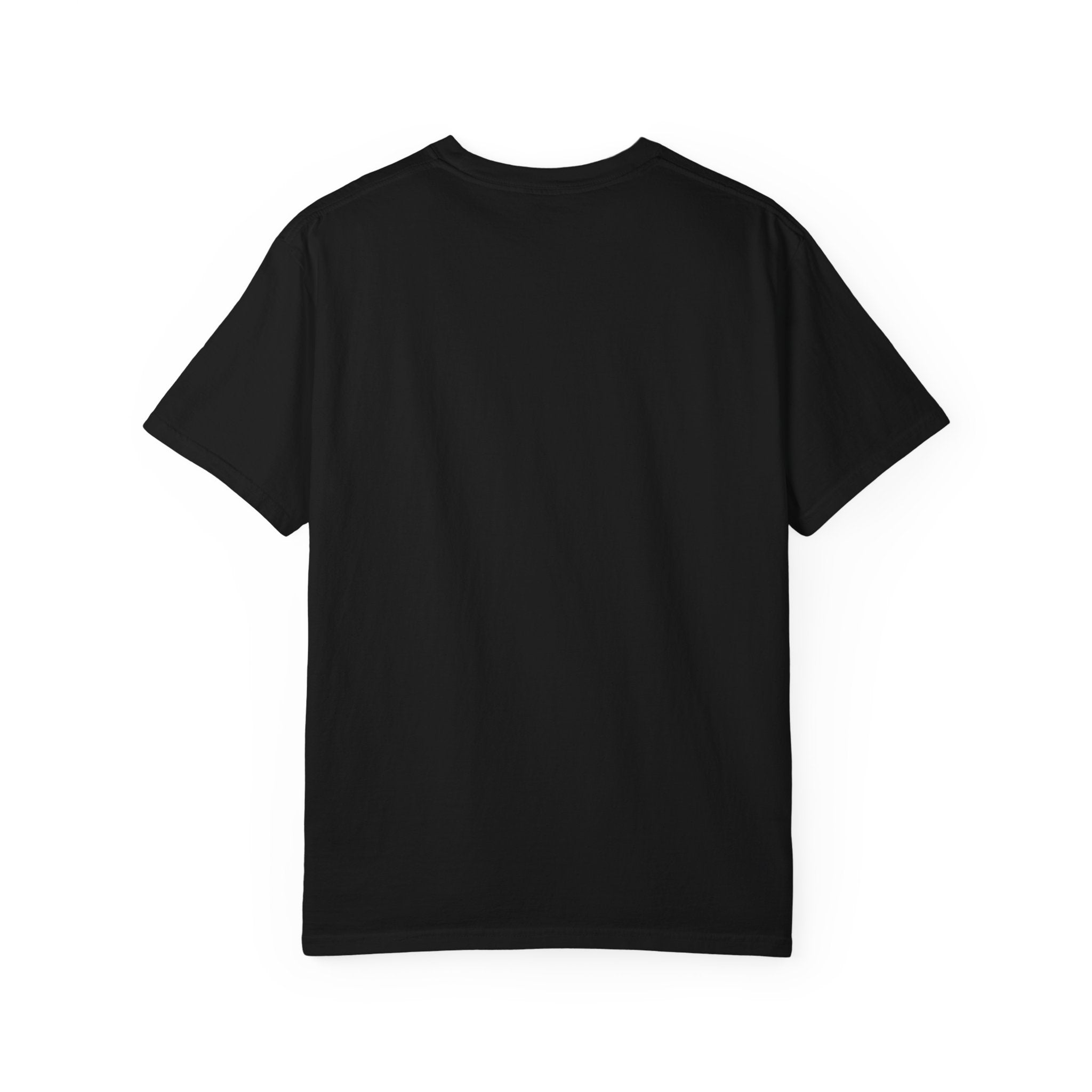 Patriotic Seagull Tshirt